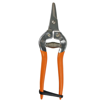 Snips Grape/Fruit Harvesting Economy Curved Stainless Steel