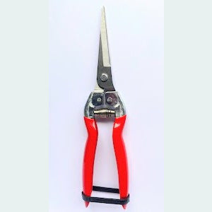 Stainless Steel Snips Long