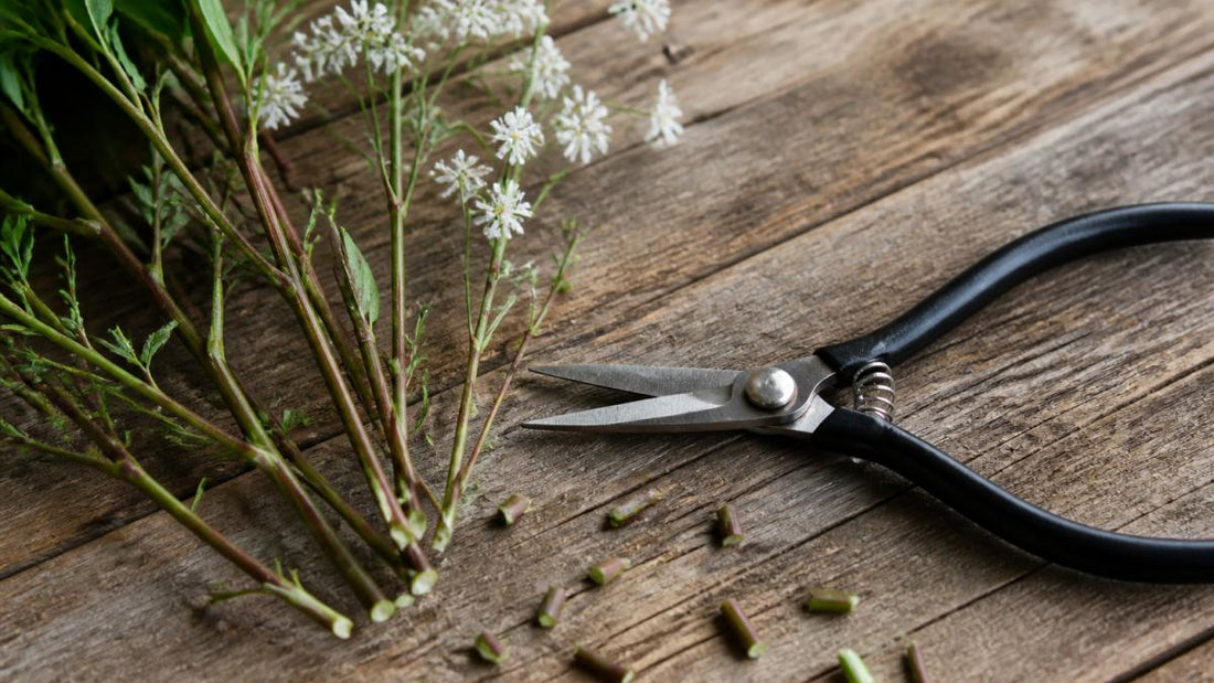 Best Professional Snips for Thin Stems: 2026 Guide