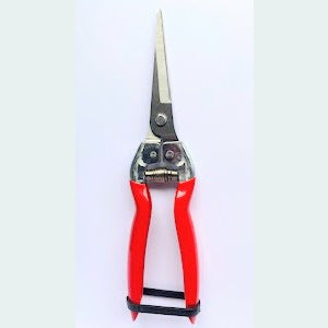 Snips Carbon Steel Long