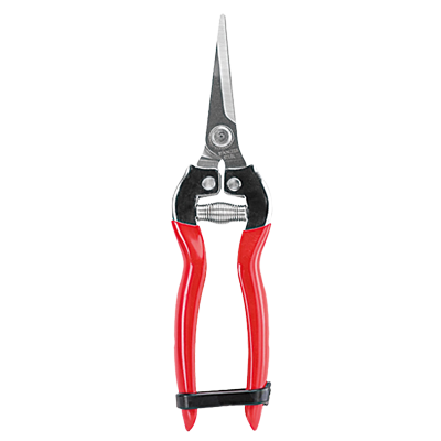 Snips Economy Carbon Steel